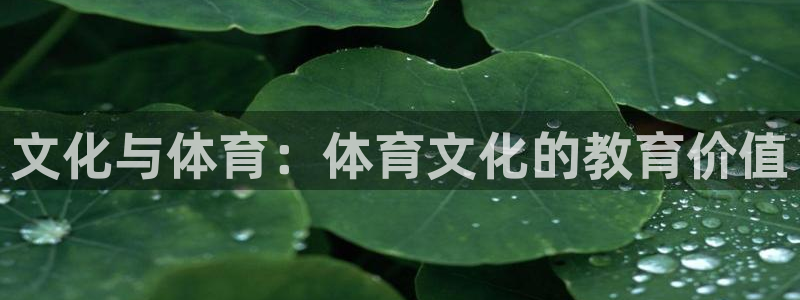 双赢平台凯捷平台注册链接