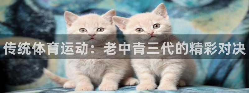 双赢平台2体育