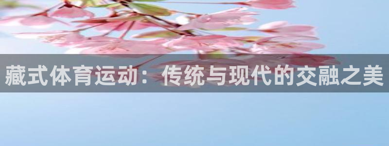 双赢平台3平台登录注册