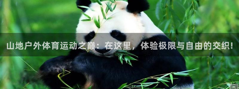 双赢平台体育平台总代理