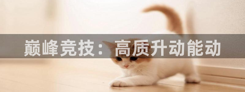 双赢平台体育2