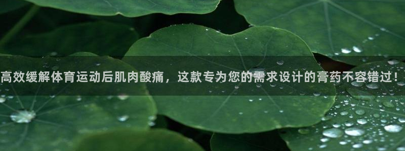 双赢平台3登录