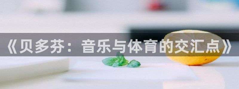 双赢平台体育凯捷代理注册