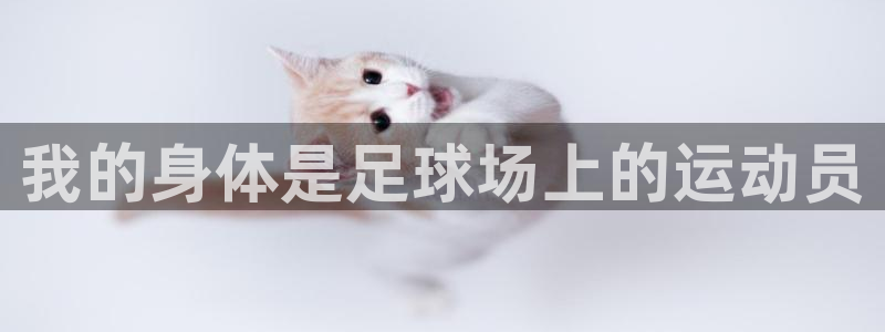 双赢平台f凯捷注册
