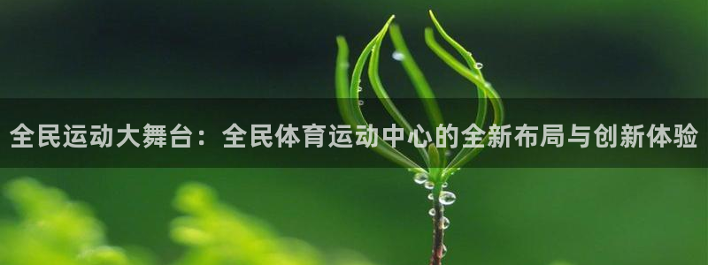 www.双赢平台体育.com