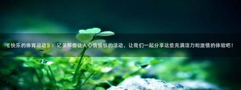 双赢平台体育在线注册