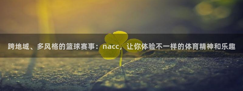 双赢平台3登陆