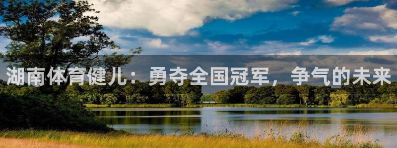 双赢平台平台招商