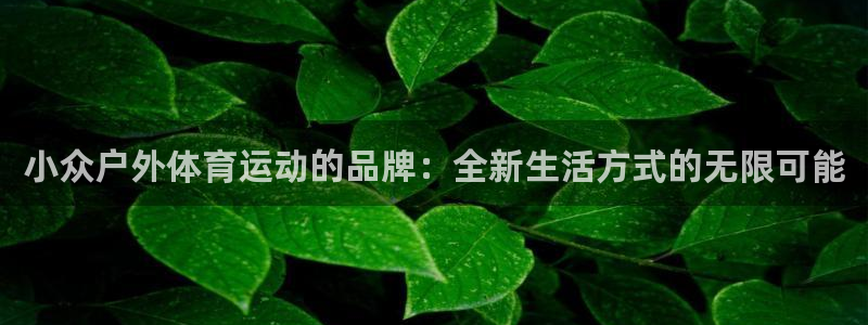双赢平台2官网