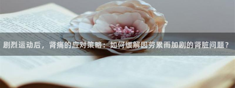 德国双赢平台集团