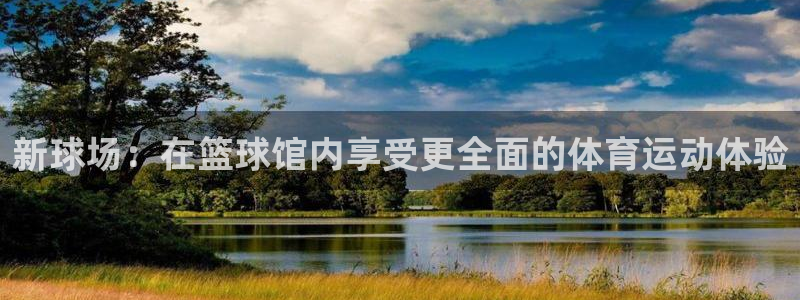 双赢平台集团股票