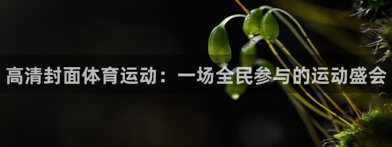 双赢平台官网入口