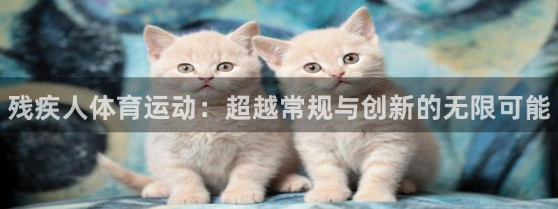 双赢平台主管