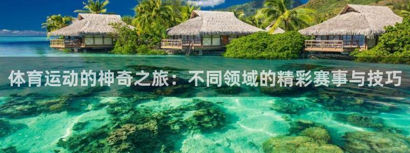 双赢平台2体育