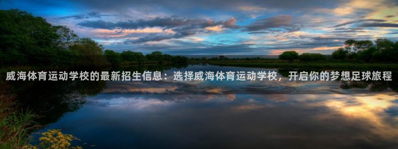 双赢平台集团股票