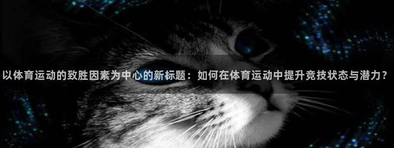 双赢平台3官网登录