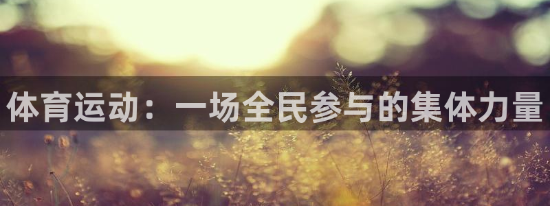 双赢平台3登录