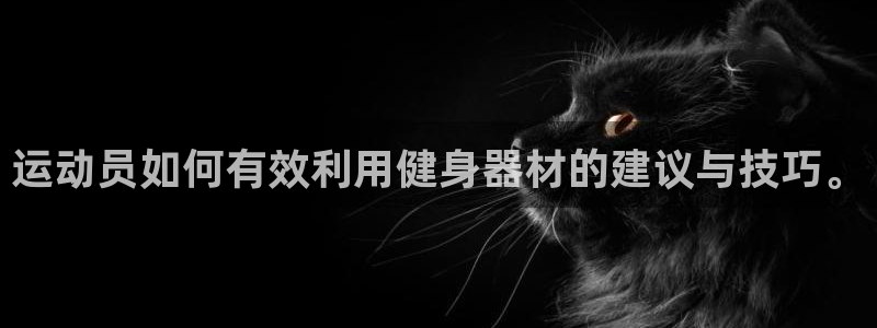 意昂5平台