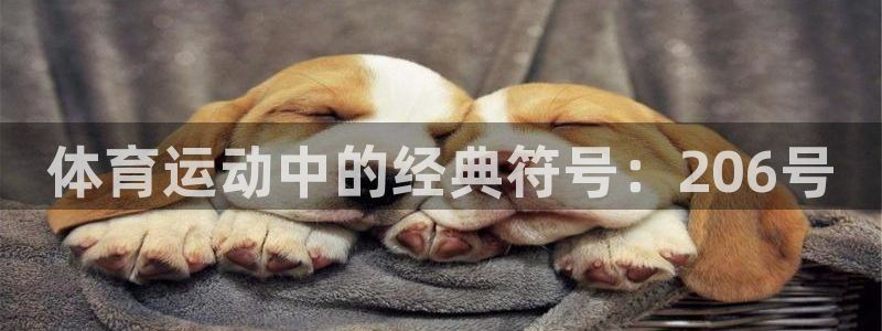 意昂官网